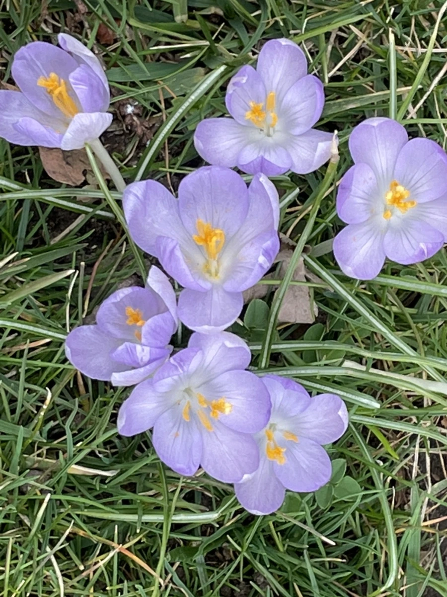 IMG_4062.jpg?type=w966