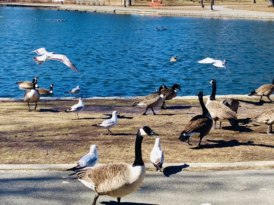 IMG_6690.jpg?type=w966