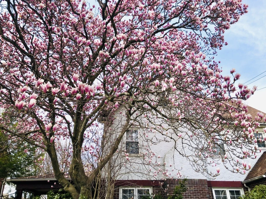 IMG_2827.jpg?type=w966