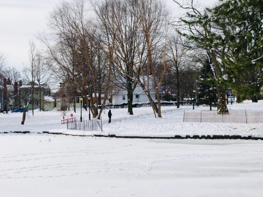 IMG_1701.jpg?type=w966