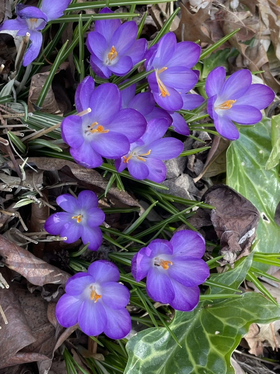 IMG_5186.jpg?type=w966