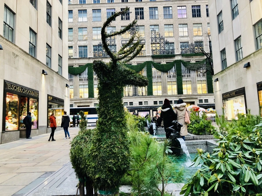 IMG_3846.jpg?type=w966