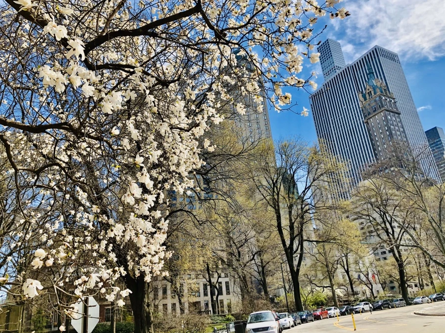 IMG_6668.jpg?type=w966