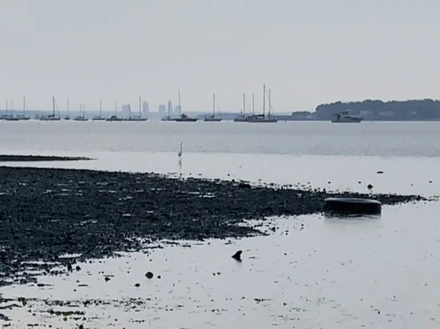 IMG_8133.jpg?type=w966