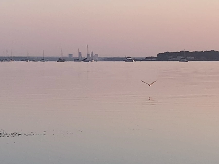 IMG_0173.jpg?type=w966