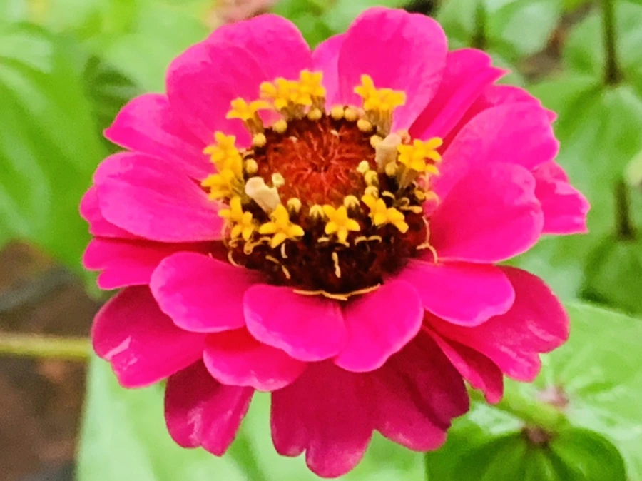 IMG_3662.jpg?type=w966