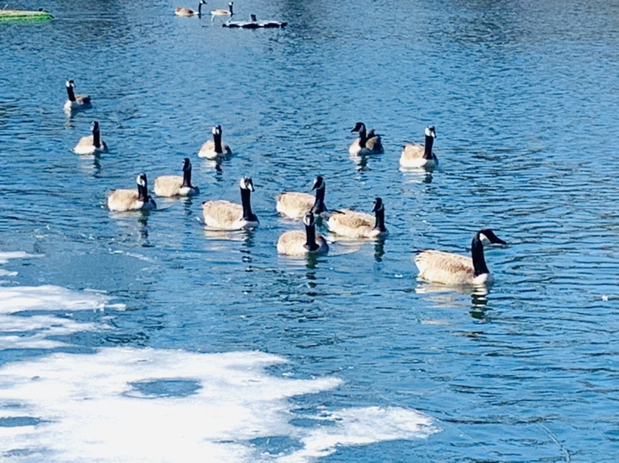 IMG_6890.jpg?type=w966