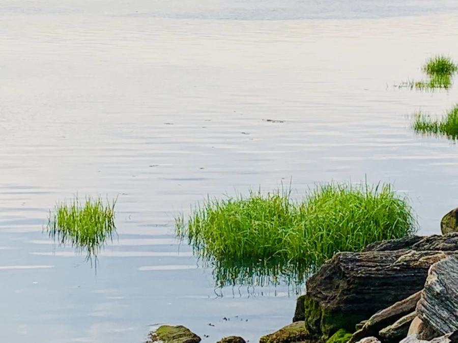 IMG_1595.jpg?type=w966