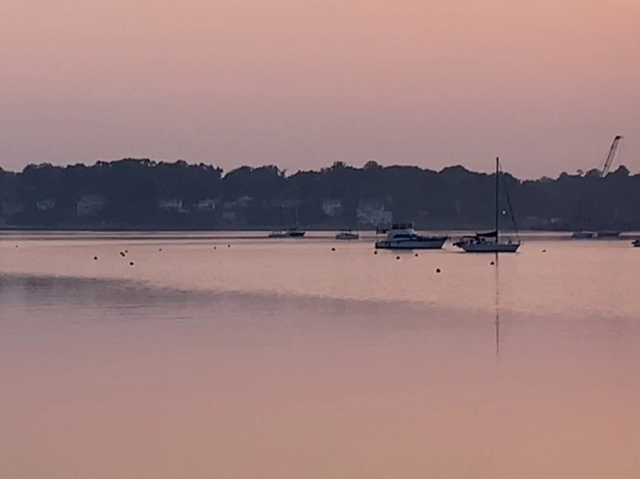 IMG_2001.jpg?type=w966