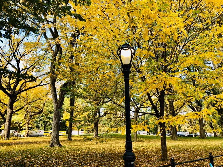 IMG_1761.jpg?type=w966