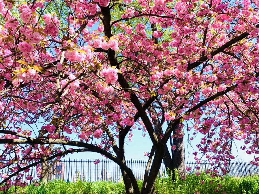 IMG_5983.jpg?type=w966