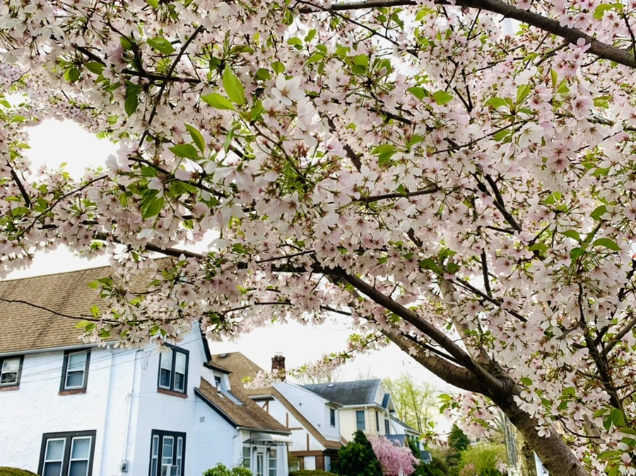 IMG_2787.jpg?type=w966