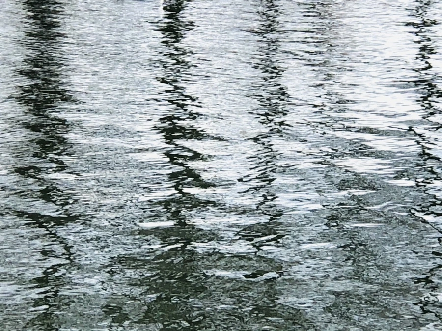 IMG_8745.jpg?type=w966