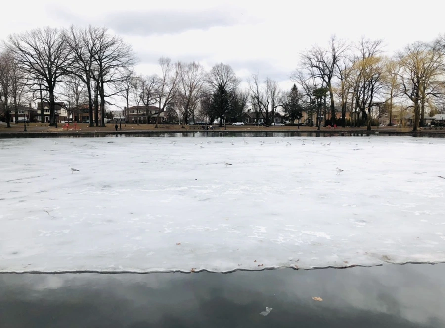 IMG_6510.jpg?type=w966