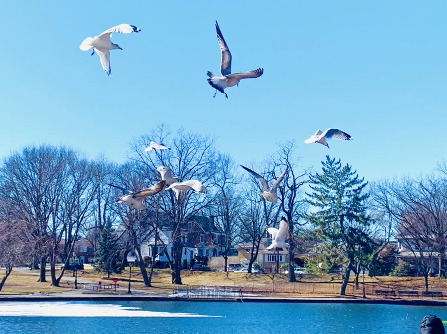 IMG_6676.jpg?type=w966