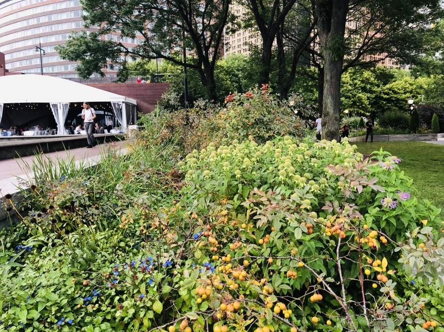 IMG_8509.jpg?type=w966