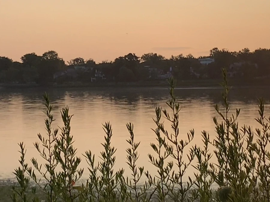 IMG_9589.jpg?type=w966