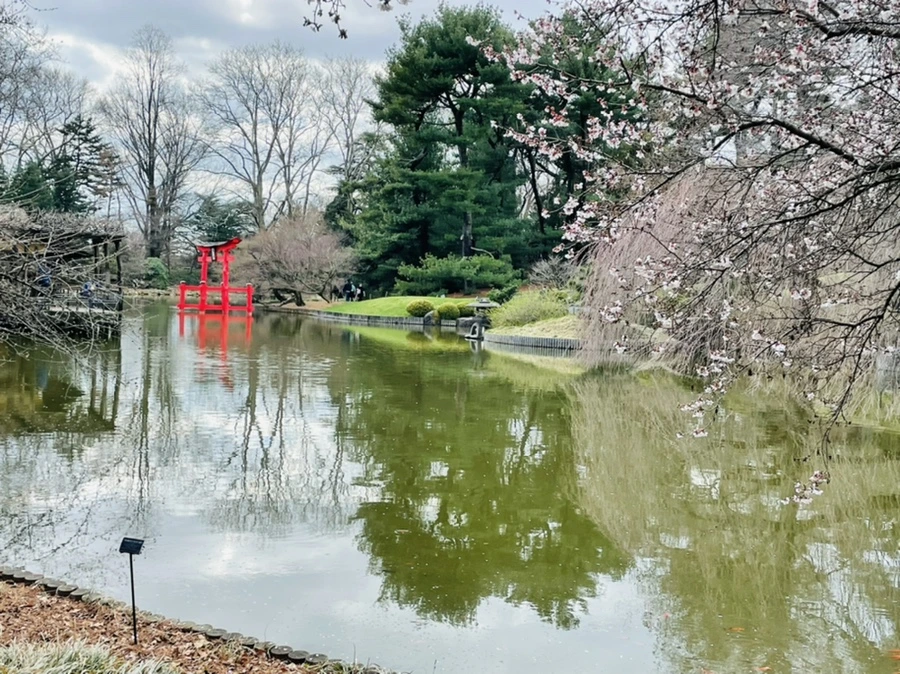 IMG_7211.jpg?type=w966