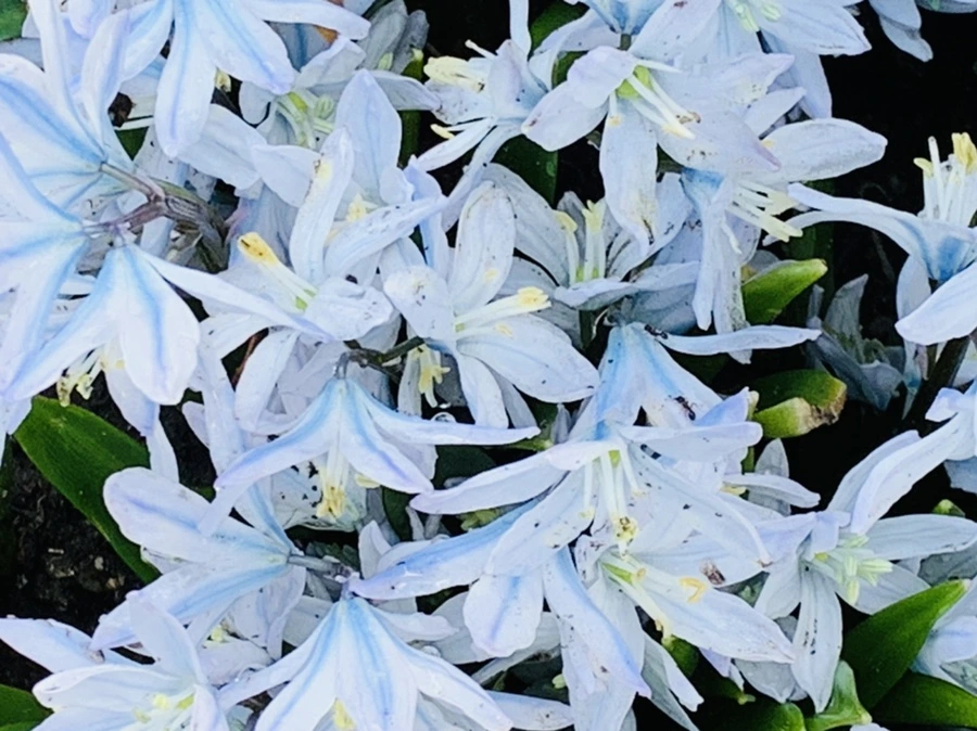 IMG_4154.jpg?type=w966