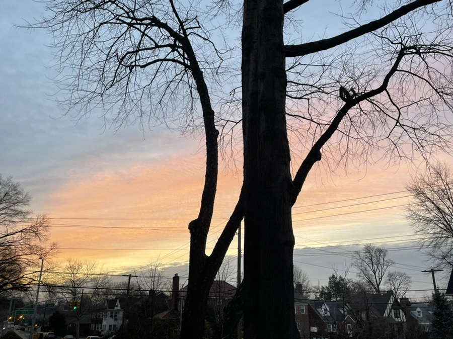 IMG_0601.jpg?type=w966