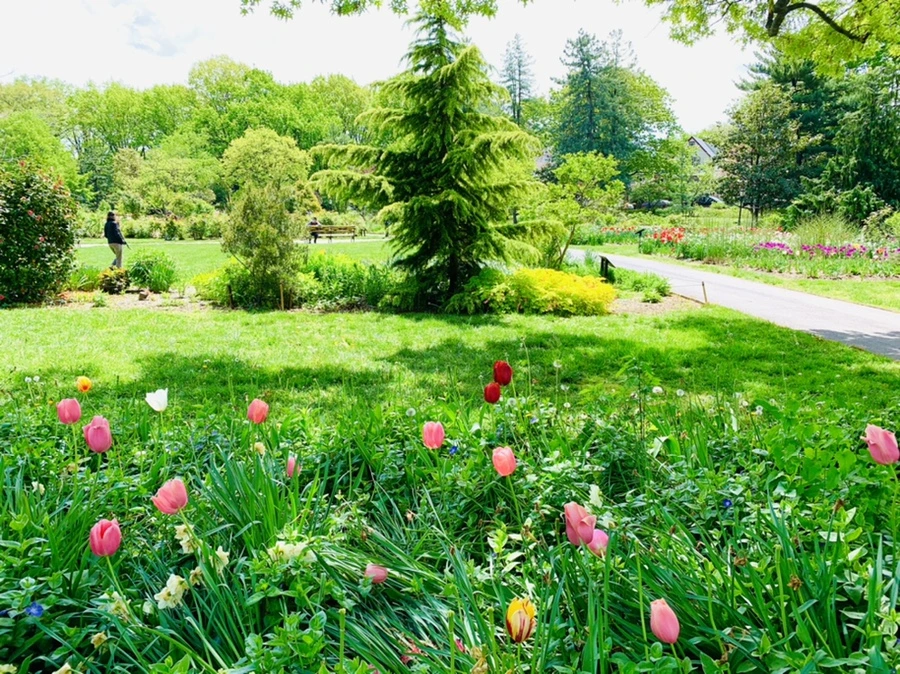 IMG_1401.jpg?type=w966