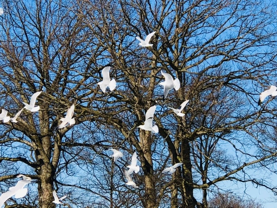 MsQhC-JN7zO6nfb6sTTvQog91l8