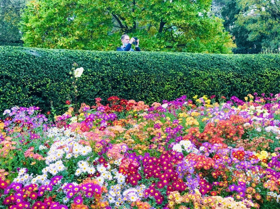 IMG_2730.jpg?type=w966