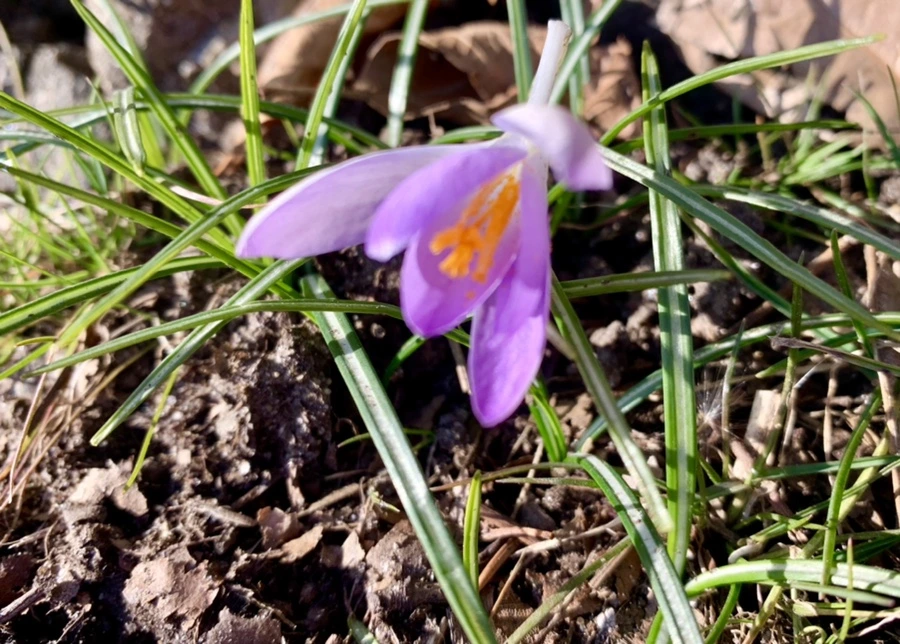 IMG_7480.jpg?type=w966