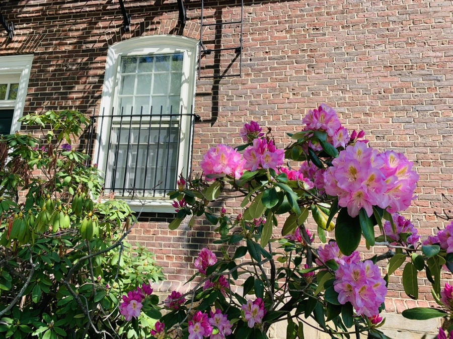 IMG_3096.jpg?type=w966