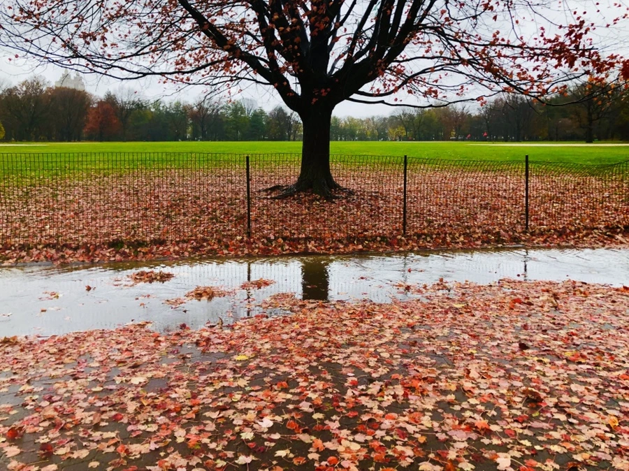 IMG_5731.jpg?type=w966