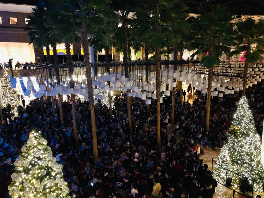 IMG_8184.jpg?type=w966