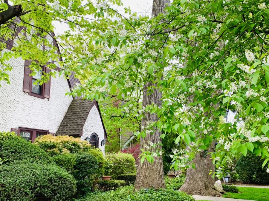 IMG_6119.jpg?type=w966