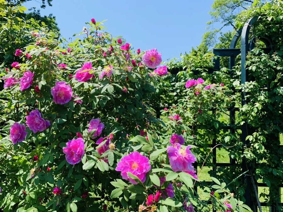 T6olSzOqkEFpHLSJWopsx2Gbb2k