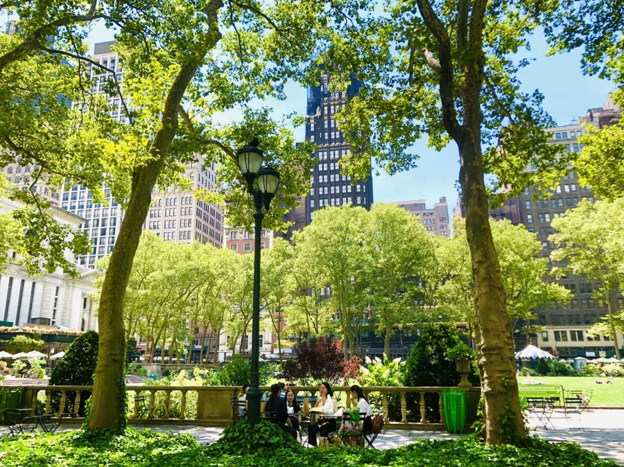 IMG_5265.jpg?type=w966