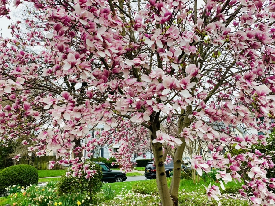 IMG_0970.jpg?type=w966