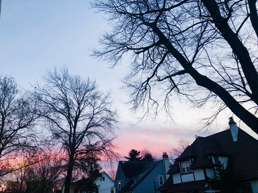 IMG_5852.jpg?type=w966