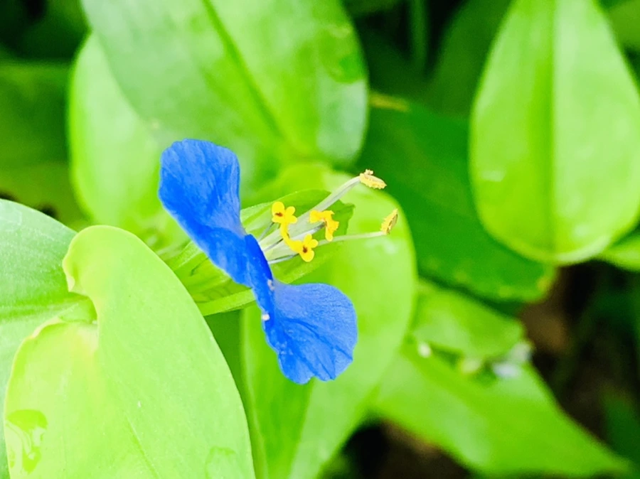 IMG_6954.jpg?type=w966