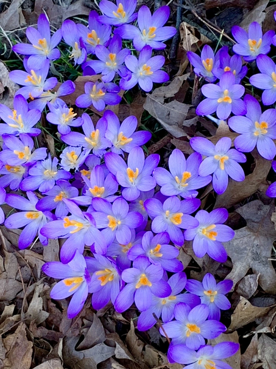 IMG_9775.jpg?type=w966