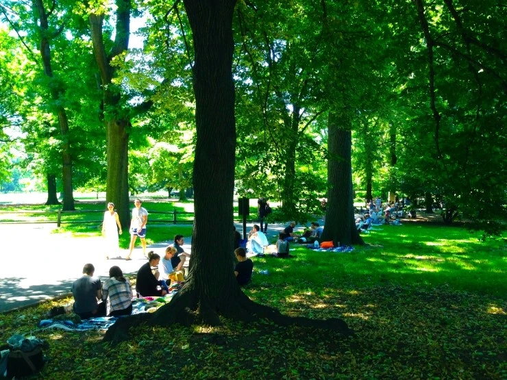 IMG_8037.JPG?type=w1