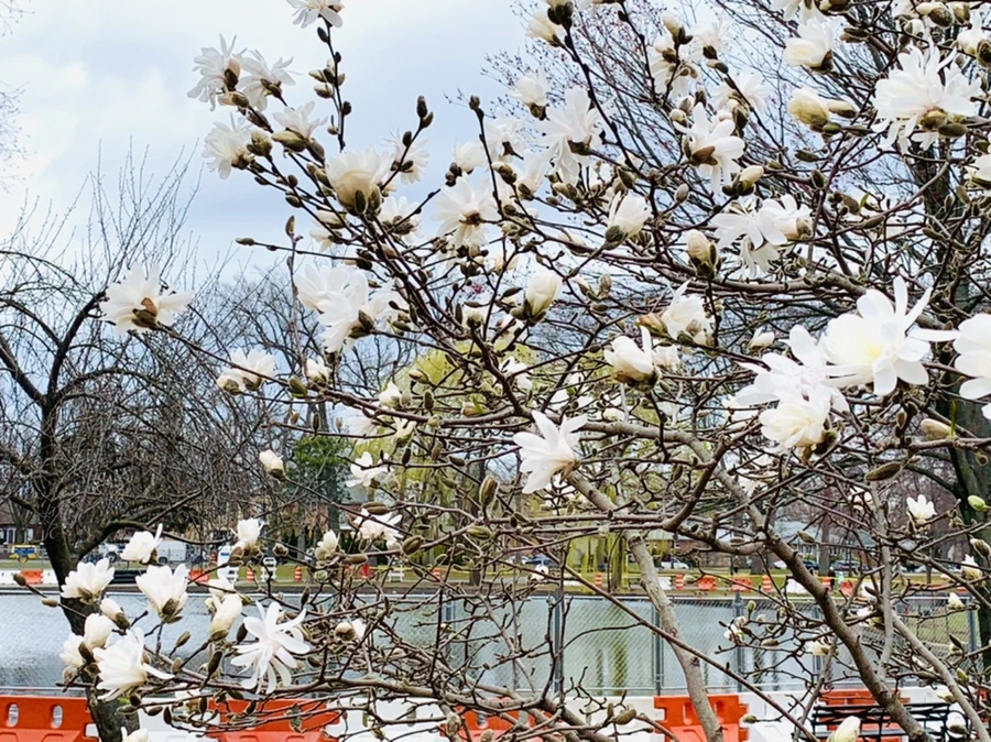 IMG_6024.jpg?type=w966