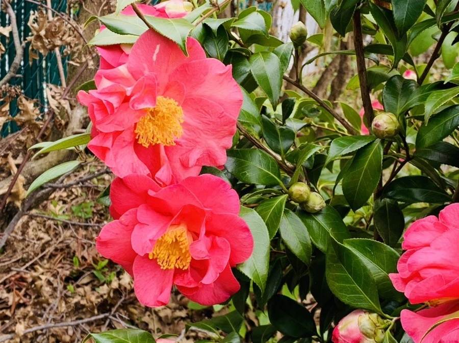 jCv6JjQ6vBEtqjVpZb5vnhgNI0g