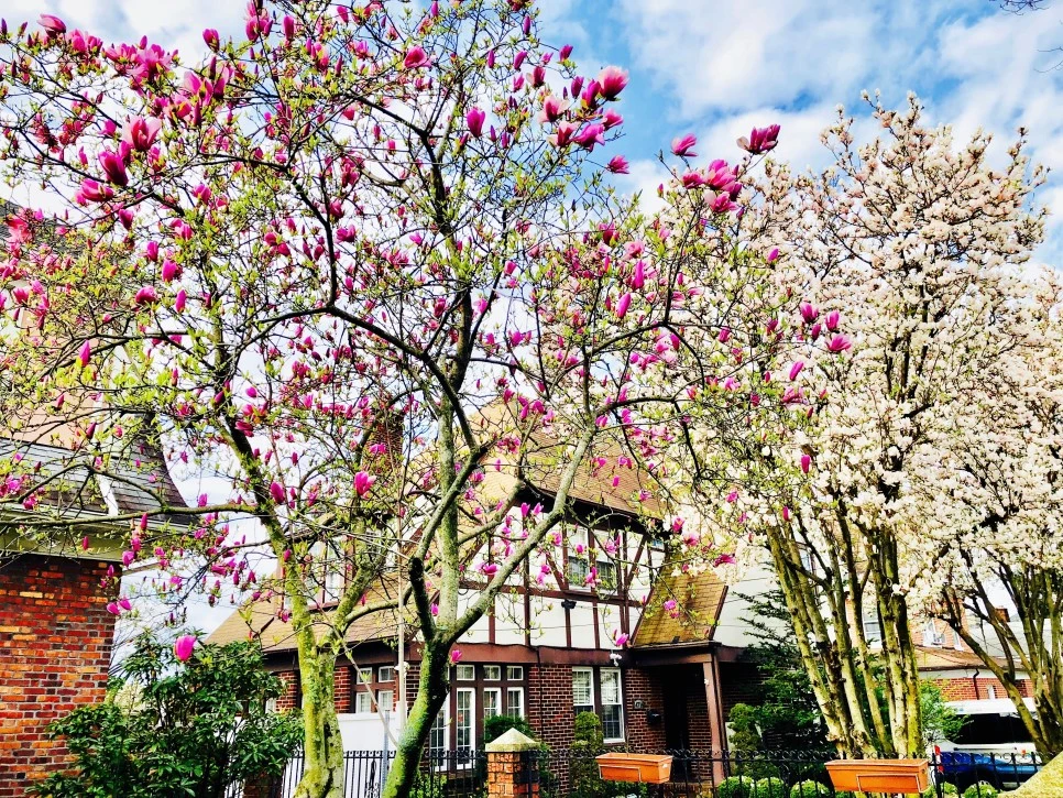 IMG_E5076.jpg?type=w966