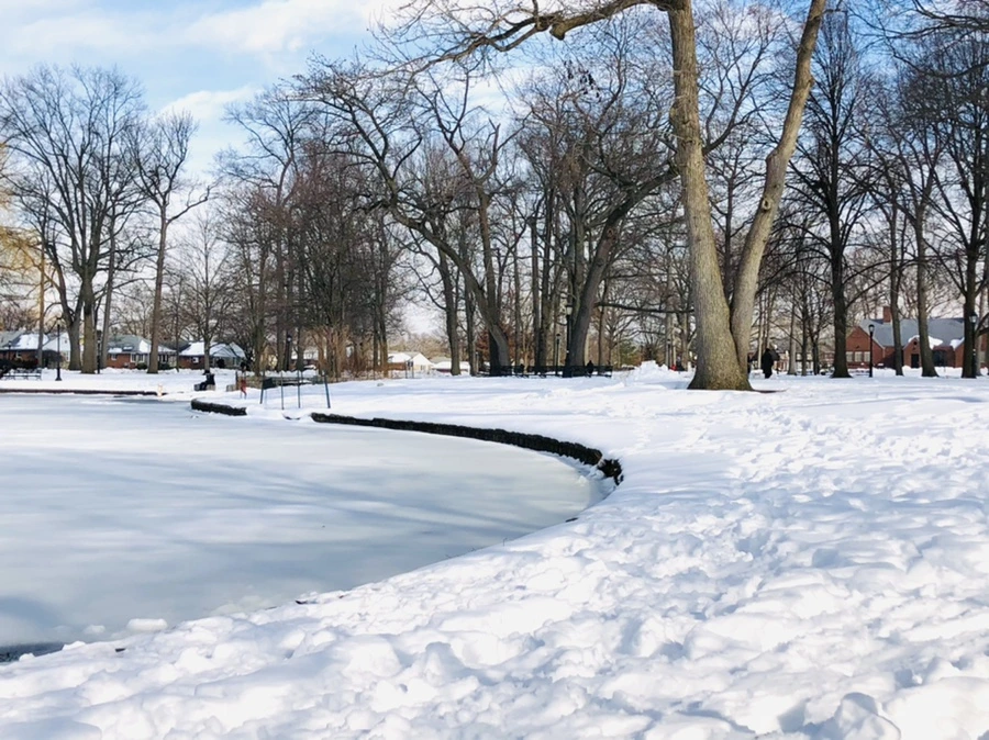 IMG_0126.jpg?type=w966