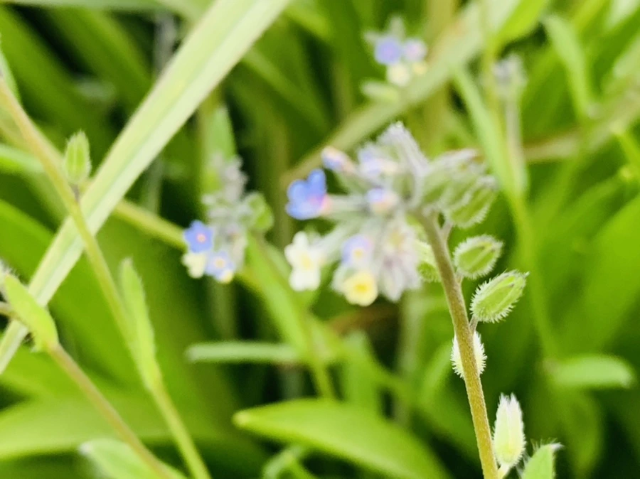 IMG_8642.jpg?type=w966