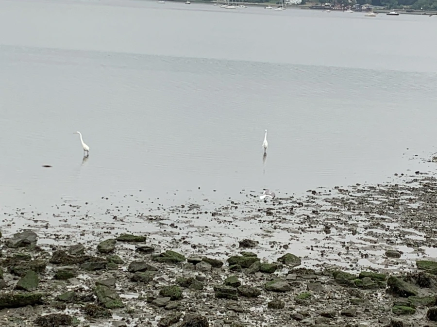 IMG_3677.jpg?type=w966