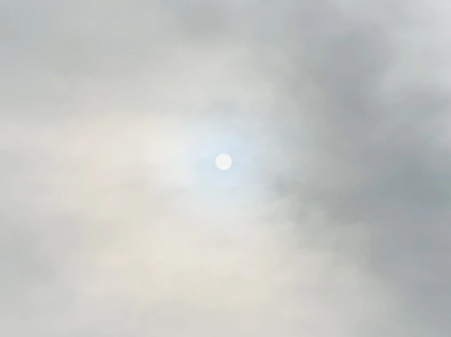 IMG_4469.jpg?type=w966