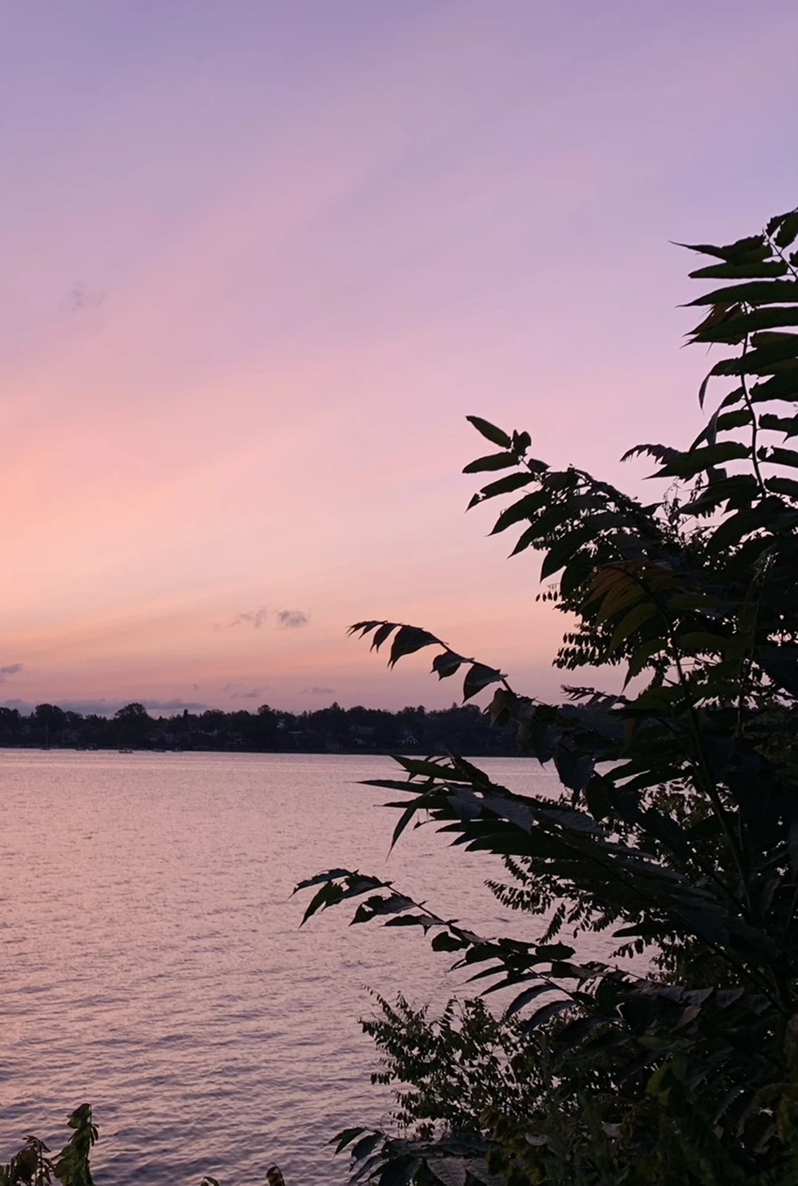 IMG_5360.jpg?type=w966