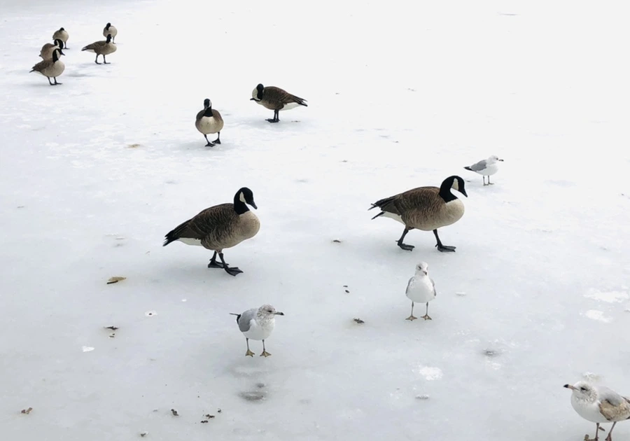 IMG_4329.jpg?type=w966