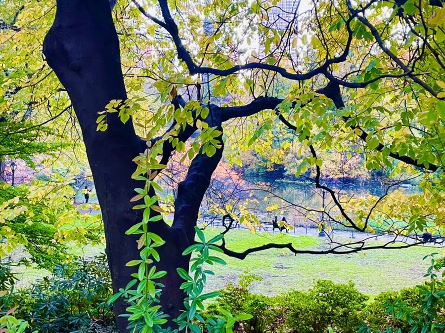 IMG_1526.jpg?type=w966