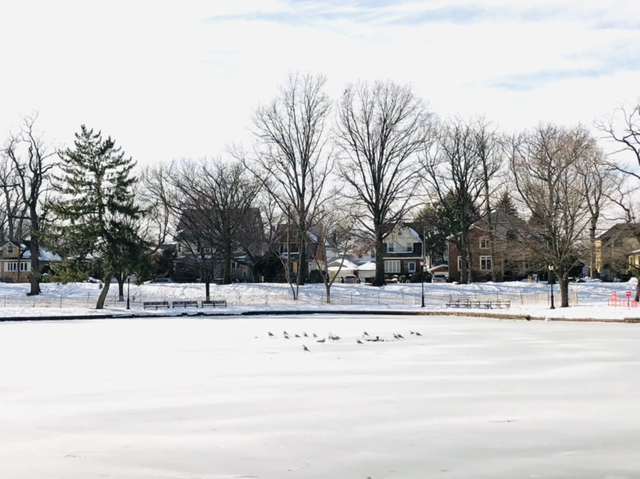 IMG_0099.jpg?type=w966